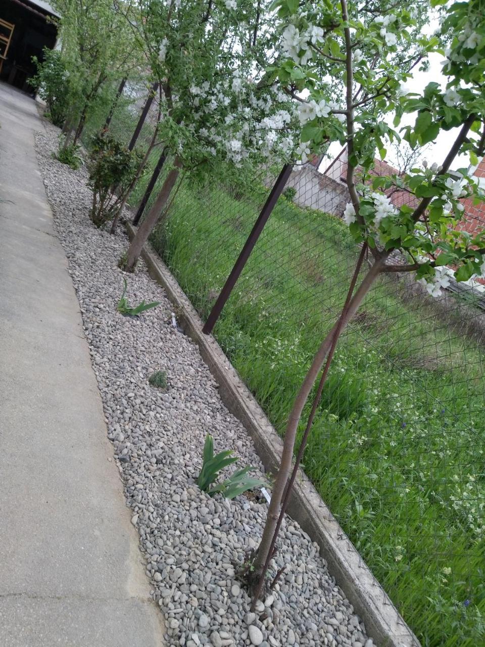 Petros Apartmani Vukovar Bagian luar foto